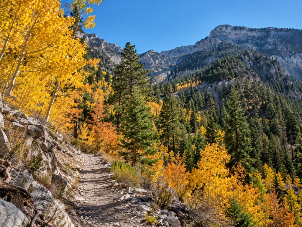 mount charleston in the fall