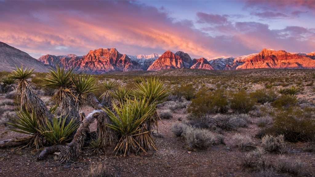 Scenic Las Vegas landscape featured in Stacy Sheeley Homes' moving to Las Vegas guide