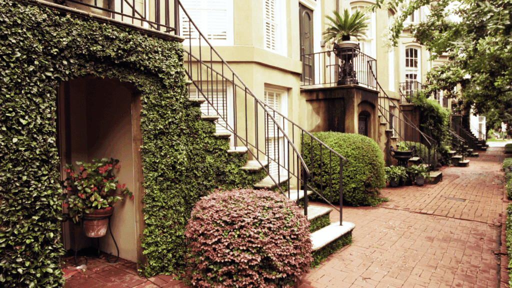 trendy townhomes